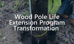 Wood Pole Life Extension